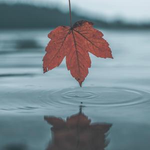 ❤️嫩草❤️嫩草❤️嫩草
