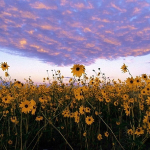 ❤️嫩草❤️嫩草❤️嫩草
